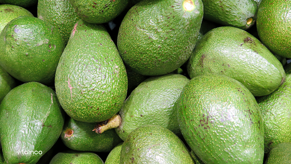 Muerte Regresiva u Hongo Aéreo